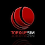 TorqueSim (Owner)