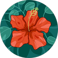 Avatar de Marie.v
