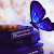 author-avatar
