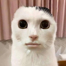 Yae