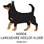 Lancashire Heeler (Owner)