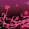 user_b5i5b0mqotu69sro66734 member profile picture