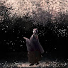 Created by