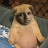David