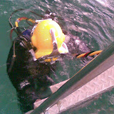 Дима Волощук