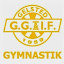 Ggif Gymnastik (ägare)