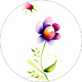Avatar de Laetitia.o