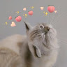 Love Ending
