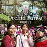Created by