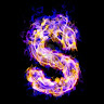 Codolio profile picture for @Shivamm