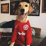 Pedro Henrique Lamego Rambo