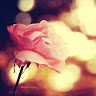 Created by