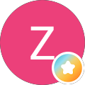 ZI9 Disk