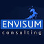 Envisum Consulting (Owner)