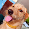 user_rq8wgrfqzymsalto member profile picture