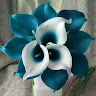 Created by
