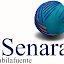 Extraescolares Senara (Owner)