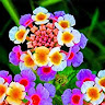 Created by