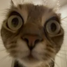 Avatar Tobby07