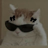 Зифи