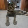 Athar Tiviano