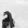 jihan alifah