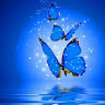 Created by