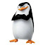 Les PINGOUINS (Owner)