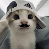 Avatar do usuário