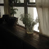 vphuongg