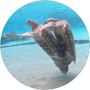 reviewer-profile-image