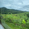 Alor Hanna Urian Adangpen