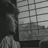 author-avatar