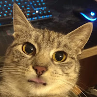 Avatar użytkownika