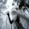 user_l0pjp57li1utxtux member profile picture