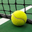 Tennisvereniging De Rumels (Owner)