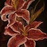 Created by