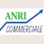 ANRI COMMERCIALE (Owner)