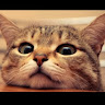 User ID : 220618