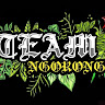 TEAM NGORONG