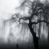 HiddenDream