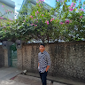 Elephant_1615318