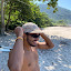 guilherme cunha