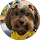 Pili Reyes profile picture