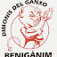 Dimonis del Ganxo Benigánim (Owner)