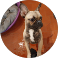 Avatar de Annie.e