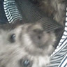 userThumbnail