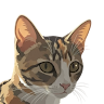 user_onixwqyupl6nazkv87719 member profile picture