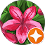 Haifa Al Shekaili profile picture