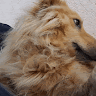 Rafaela 